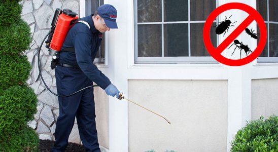 Eruh Akrep İlaçlama böcek ilaçlama ve haşere kontrolü — ilaclama-tr.com